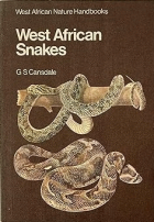 West African snakes